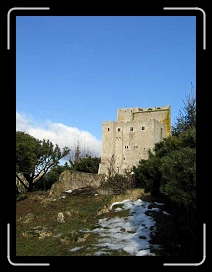 P.idf.seb 103 * 480 x 640 * (34KB)